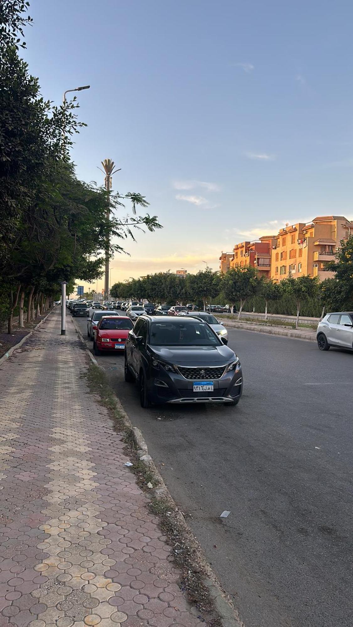 Renovated Spacious 3 Mins To Al-rehab Apartment Cairo