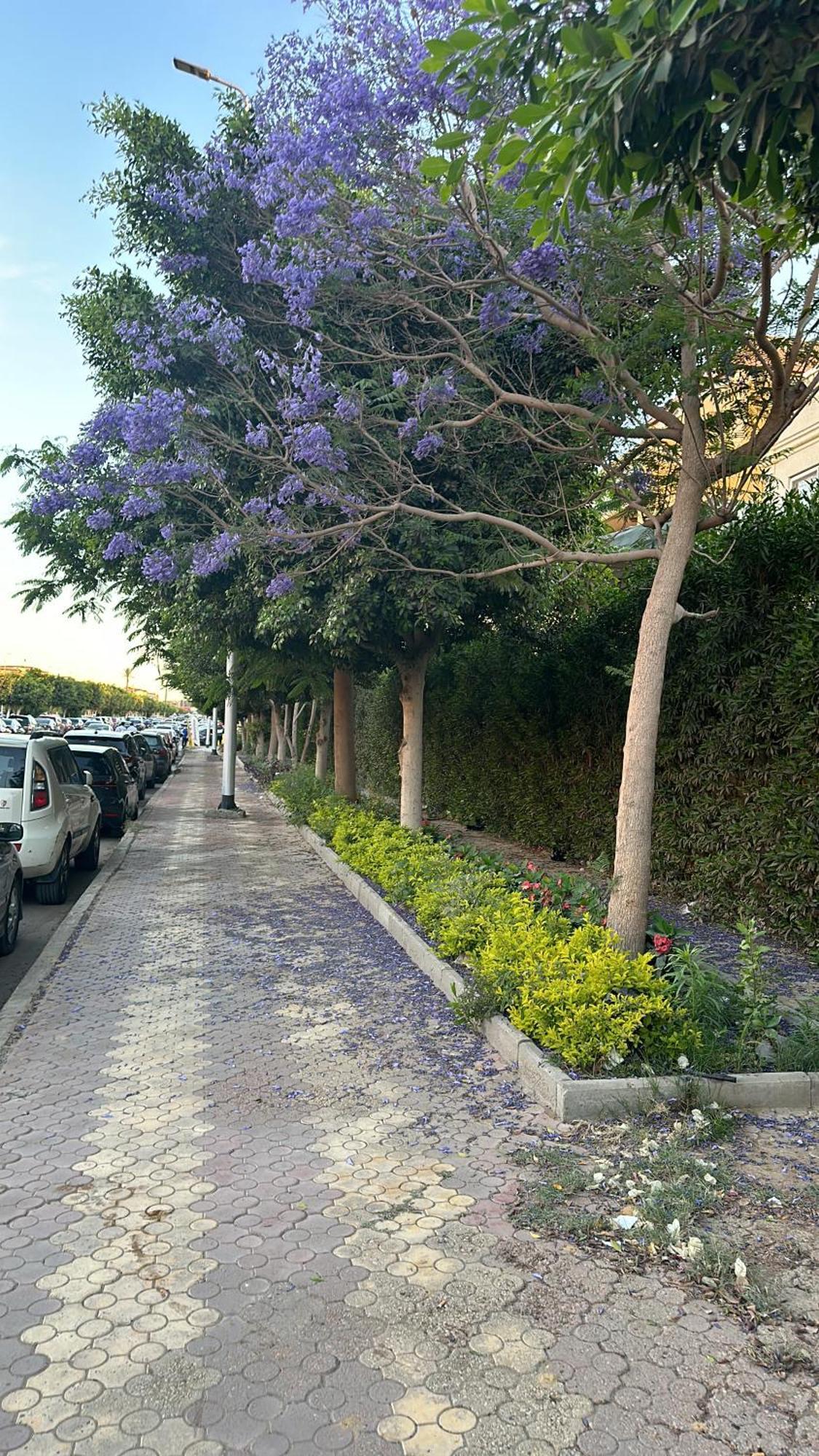 Apartment Renovated Spacious 3 Mins To Al-rehab *